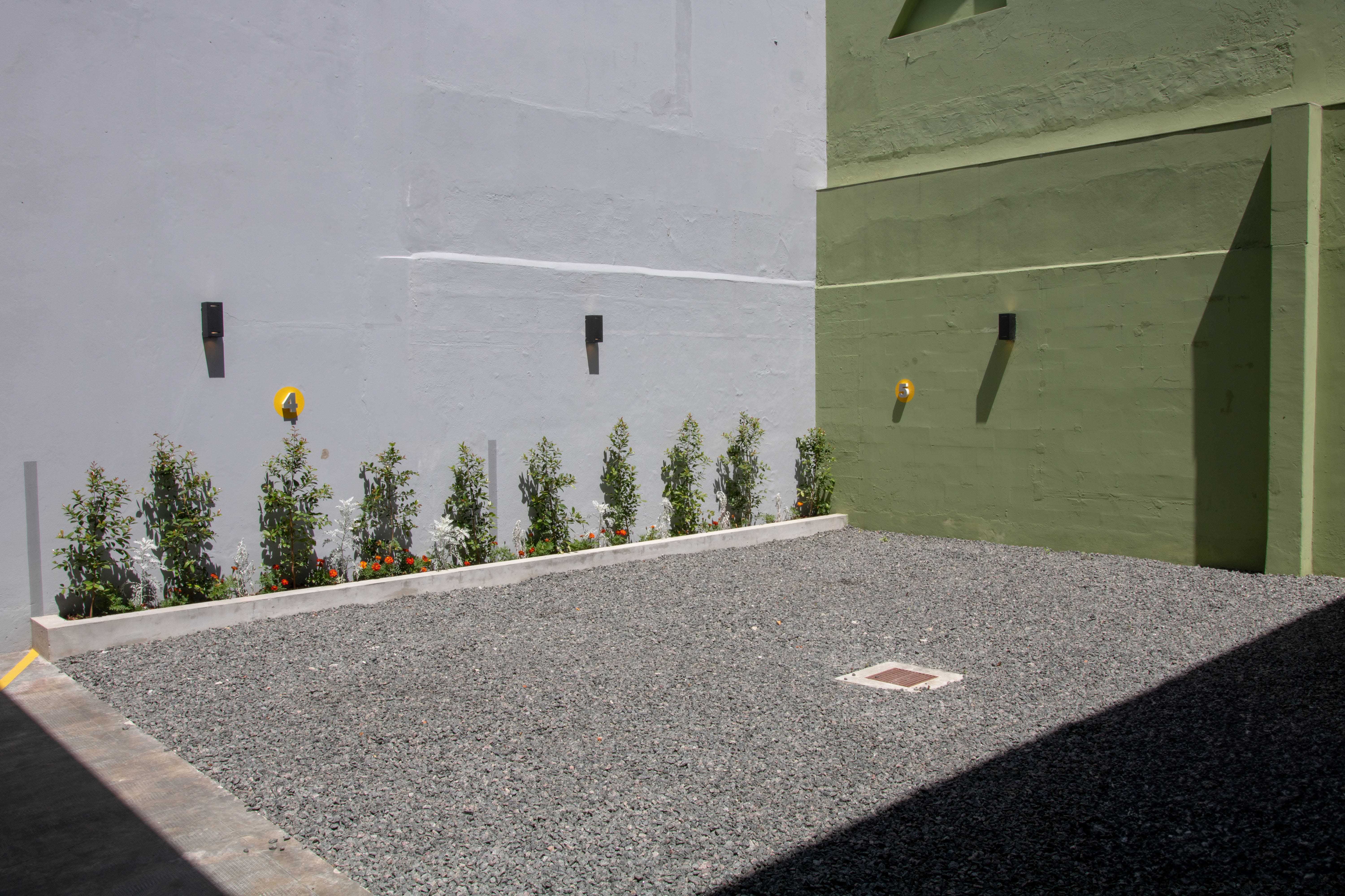 imgs-carranza/9.jpg